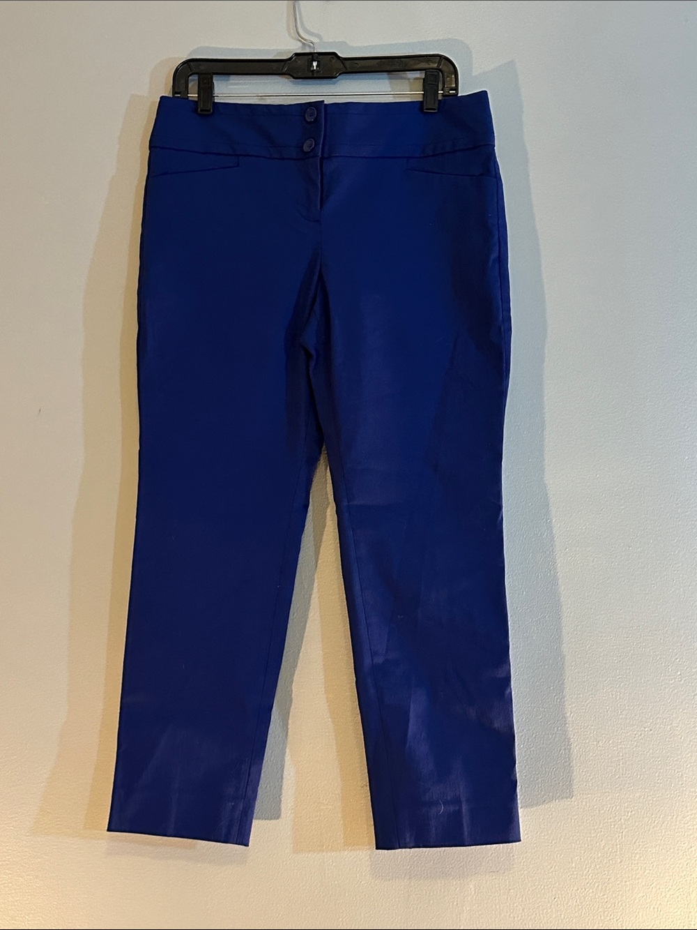 NWT The Limited Navy pants size 8